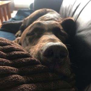 Meet your Posher, Tali